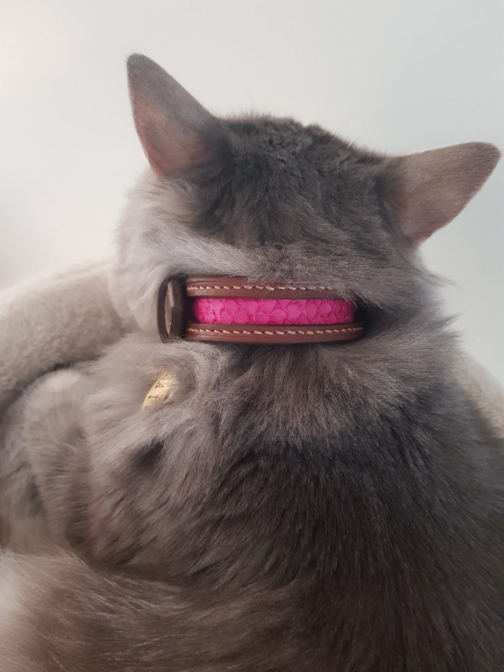 collier chat sur mesure cuir artisanal écailles