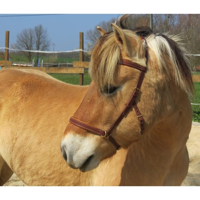 side pull cheval stable